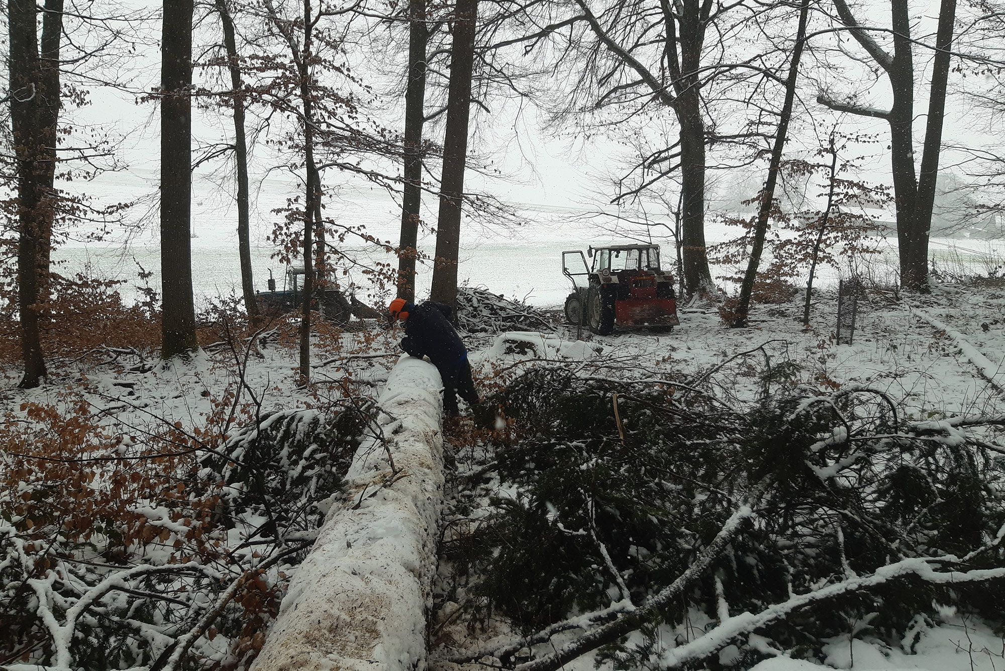 Stiftung Fintan - Holzwirkstatt -  Holzfäller