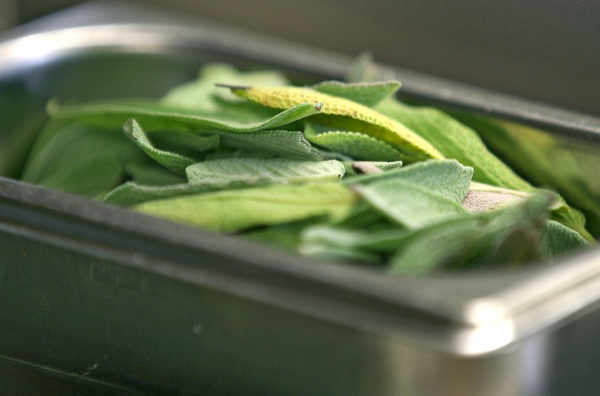 Stiftung Fintan - Gastro Fintan - Blätter