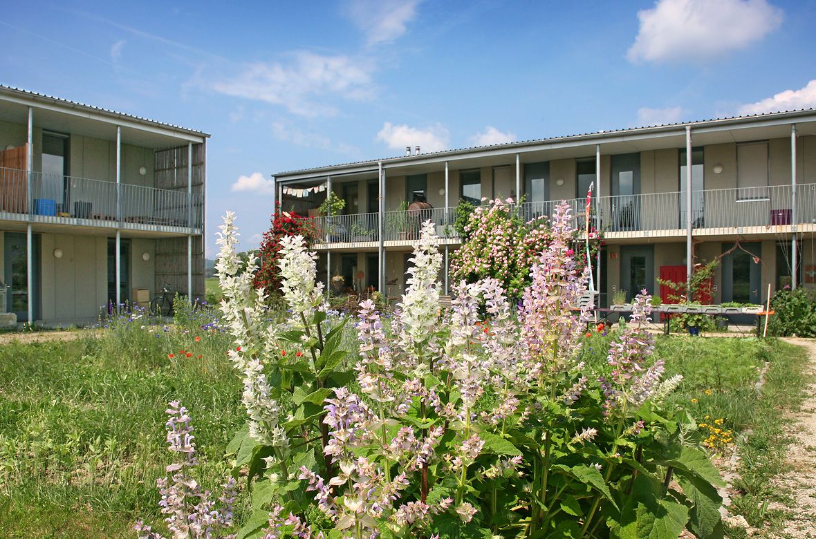 Stiftung Fintan - Sozialtherapie - Blumen