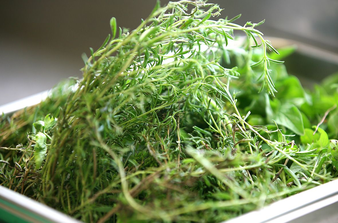 Stiftung Fintan - Gastro Fintan - Salat