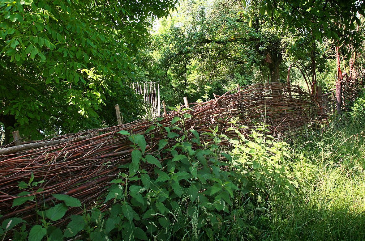 Stiftung Fintan - Impressionen - Haag