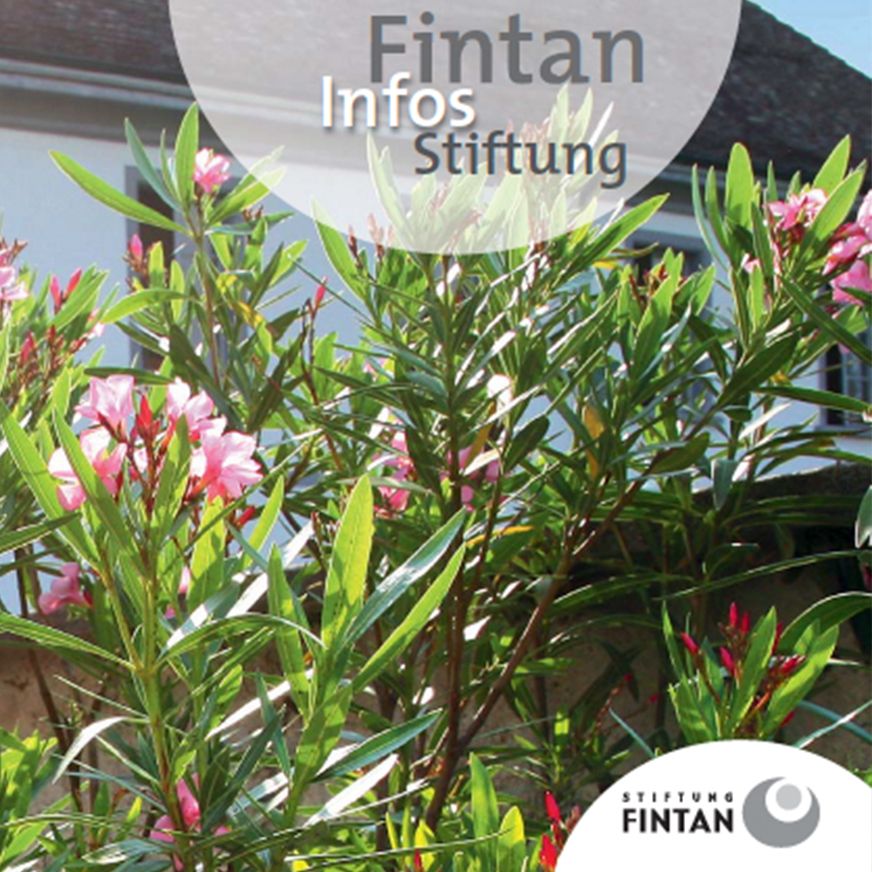 Prospekt Stiftung Fintan Infos
