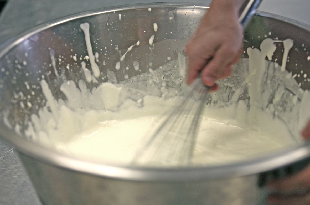 Stiftung Fintan - Impressionen - weisse Sosse 