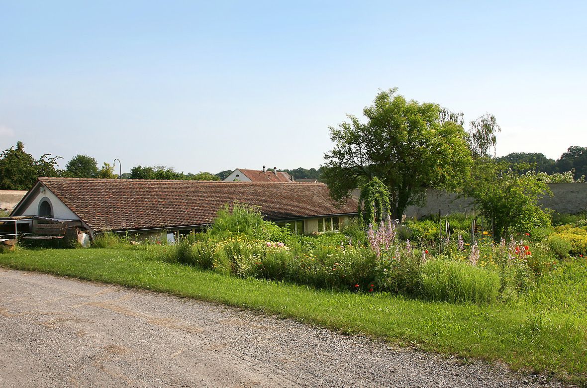 Stiftung Fintan - Impressionen - Weg mit Haus und Wiese 