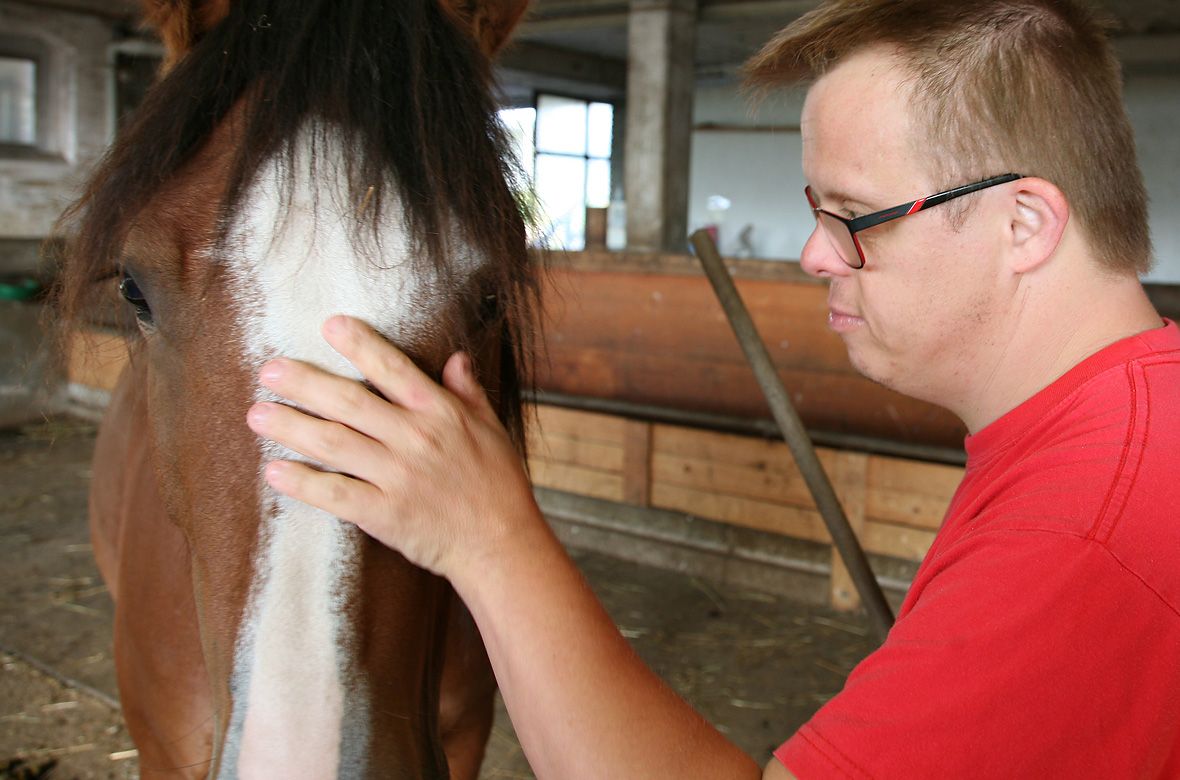 Stiftung Fintan - Impressionen - Pferd und Mann