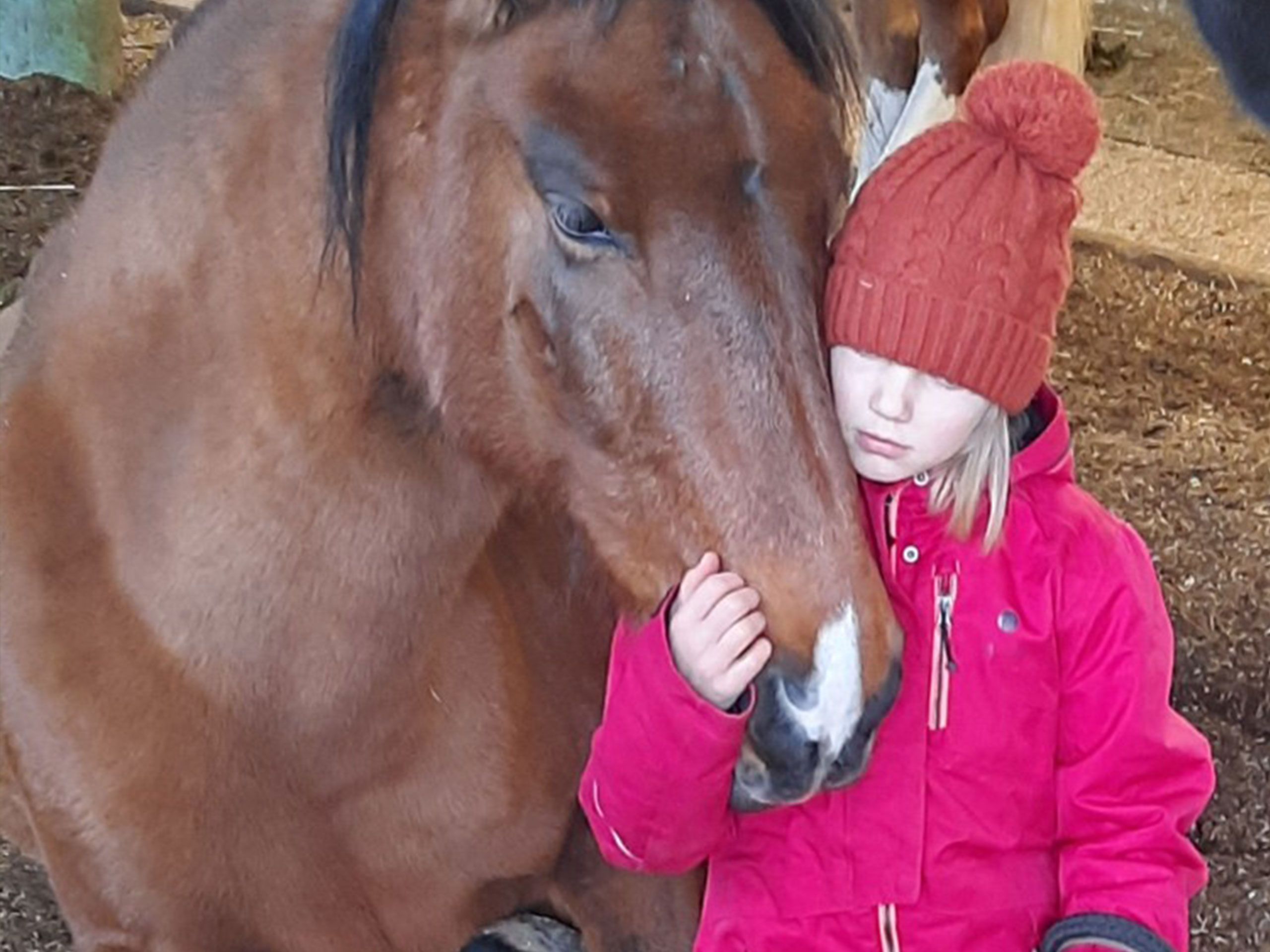 Stiftung Fintan - Verein Glichgwicht - Kind mit Pferd